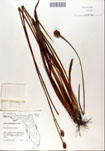 000050292-thumbnail.jpg