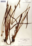 000050297-thumbnail.jpg