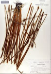 000050298-thumbnail.jpg