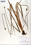 000050301-thumbnail.jpg