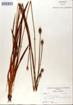 000050302-thumbnail.jpg