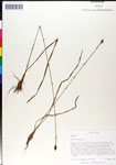 000050346-thumbnail.jpg