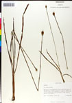 000050348-thumbnail.jpg