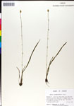 000050349-thumbnail.jpg