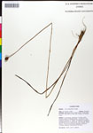 000050350-thumbnail.jpg