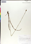 000050352-thumbnail.jpg