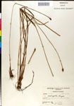 000050355-thumbnail.jpg