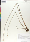 000050358-thumbnail.jpg