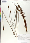 000050362-thumbnail.jpg