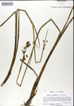 000051212-thumbnail.jpg