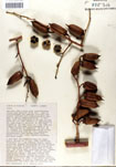 000053245-thumbnail.jpg