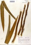 000053247-thumbnail.jpg