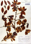 000053248-thumbnail.jpg