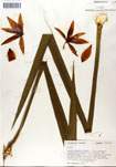 000053253-thumbnail.jpg