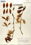 000053258-thumbnail.jpg
