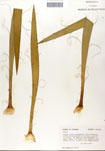 000053259-thumbnail.jpg