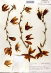 000053265-thumbnail.jpg