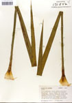 000053268-thumbnail.jpg