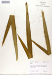 000053269-thumbnail.jpg
