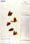 000053270-thumbnail.jpg