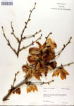 000053272-thumbnail.jpg
