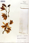 000053273-thumbnail.jpg