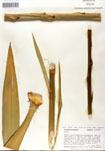 000053274-thumbnail.jpg