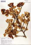 000053275-thumbnail.jpg