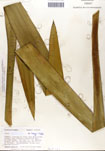 000053279-thumbnail.jpg