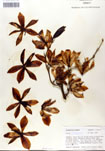000053281-thumbnail.jpg