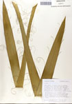 000053284-thumbnail.jpg