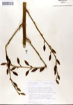 000053287-thumbnail.jpg