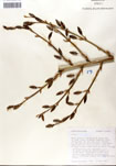 000053291-thumbnail.jpg
