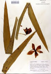 000053306-thumbnail.jpg