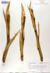 000053308-thumbnail.jpg