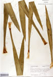 000053310-thumbnail.jpg