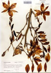 000053311-thumbnail.jpg