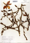 000053312-thumbnail.jpg