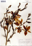 000053313-thumbnail.jpg