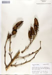 000053314-thumbnail.jpg