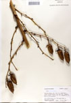 000053317-thumbnail.jpg
