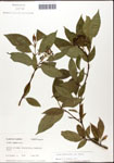 000057674-thumbnail.jpg