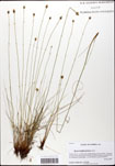 000058054-thumbnail.jpg