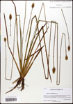 000058058-thumbnail.jpg