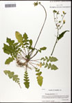 000058062-thumbnail.jpg