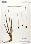 000058283-thumbnail.jpg