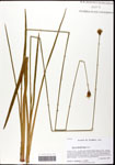 000058297-thumbnail.jpg