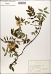 000058320-thumbnail.jpg