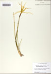 000058409-thumbnail.jpg