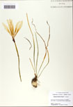 000058410-thumbnail.jpg